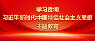 大鸡巴操女人屁股网站学习贯彻习近平新时代中国特色社会主义思想主题教育_fororder_ad-371X160(2)